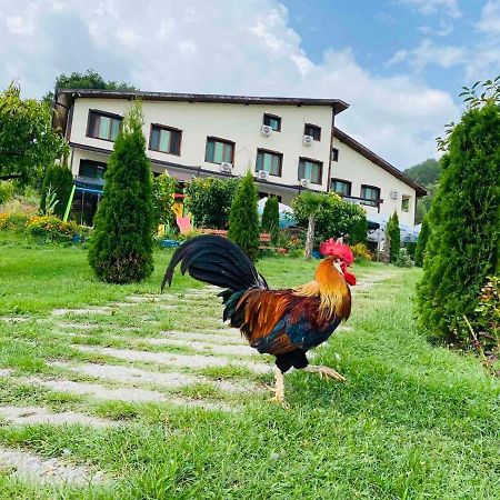 Family Hotel Borovitsa Pŭdartsi 外观 照片