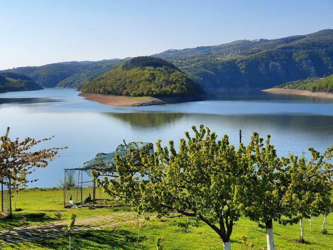 Family Hotel Borovitsa Pŭdartsi 外观 照片